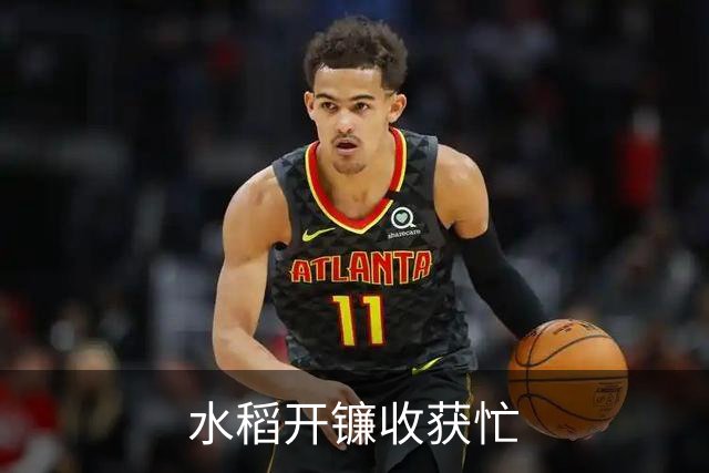 水稻开镰收获忙